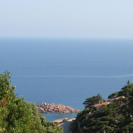 Sardinia Sea Vacation Villa Costa Paradiso Camera foto